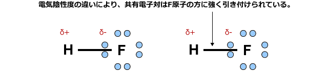 電気陰性度の違いにより、共有電子対はF原子の方に強く引き付けられている。