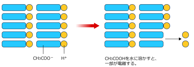 CH3COOHを水に溶かすと、一部が電離する。