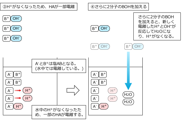 H+がなくなったため、HAが一部電離/さらに2分子のBOHを加える