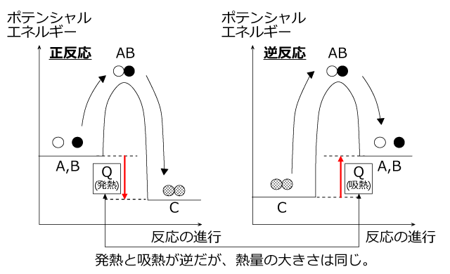 化学連載 第53回：化学反応速度④反応における熱の出入り