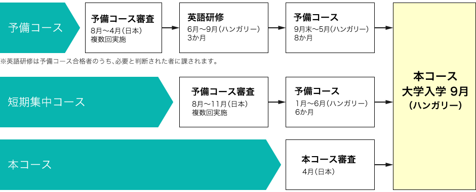 各コースの流れ