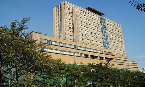 帝京大学