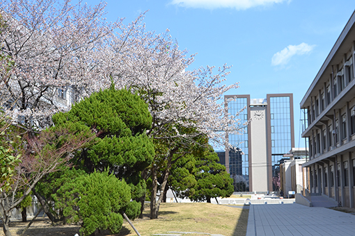 徳島大学