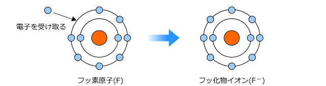 フッ素原子とフッ化物イオン