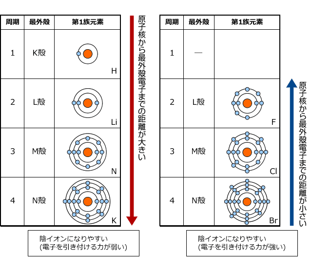 陽イオンになりやすい・陰イオンになりやすい元素