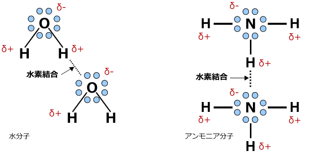 水分子とアンモニア分子