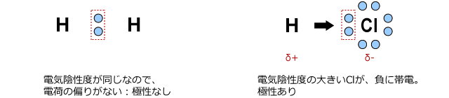 電気陰性度が同じなので、電荷の偏りがない：極性なし/電気陰性度の大きいClが、負に帯電。極性あり