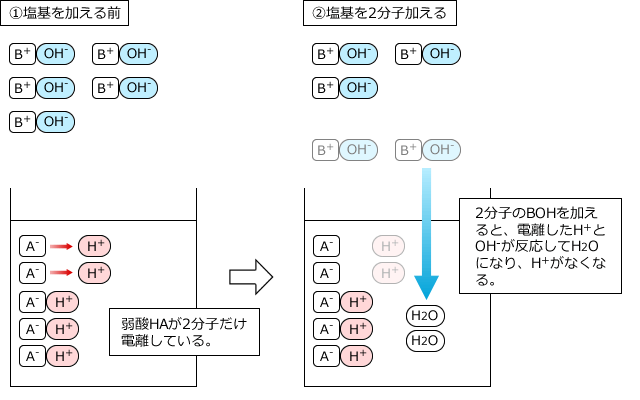 塩基を加える前/塩基を2分子加える