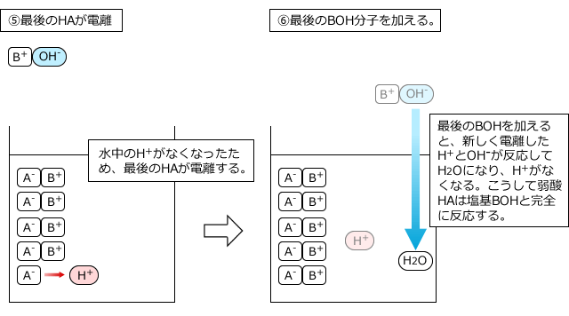 H+がなくなったため、HAが一部電離/さらに2分子のBOHを加える