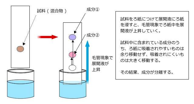 昇華の図