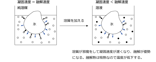 図5