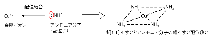 医学部受験を決めたら私立・国公立大学に入ろう！ドットコム理論化学無機化学第3回 錯イオン